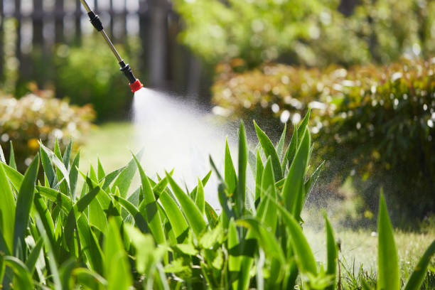 24/7 Emergency Fumigation Services experts in Fruitland, NC