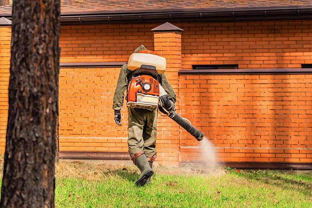 Trusted Termite Control service in Fruitland, NC - Nex Pest Control